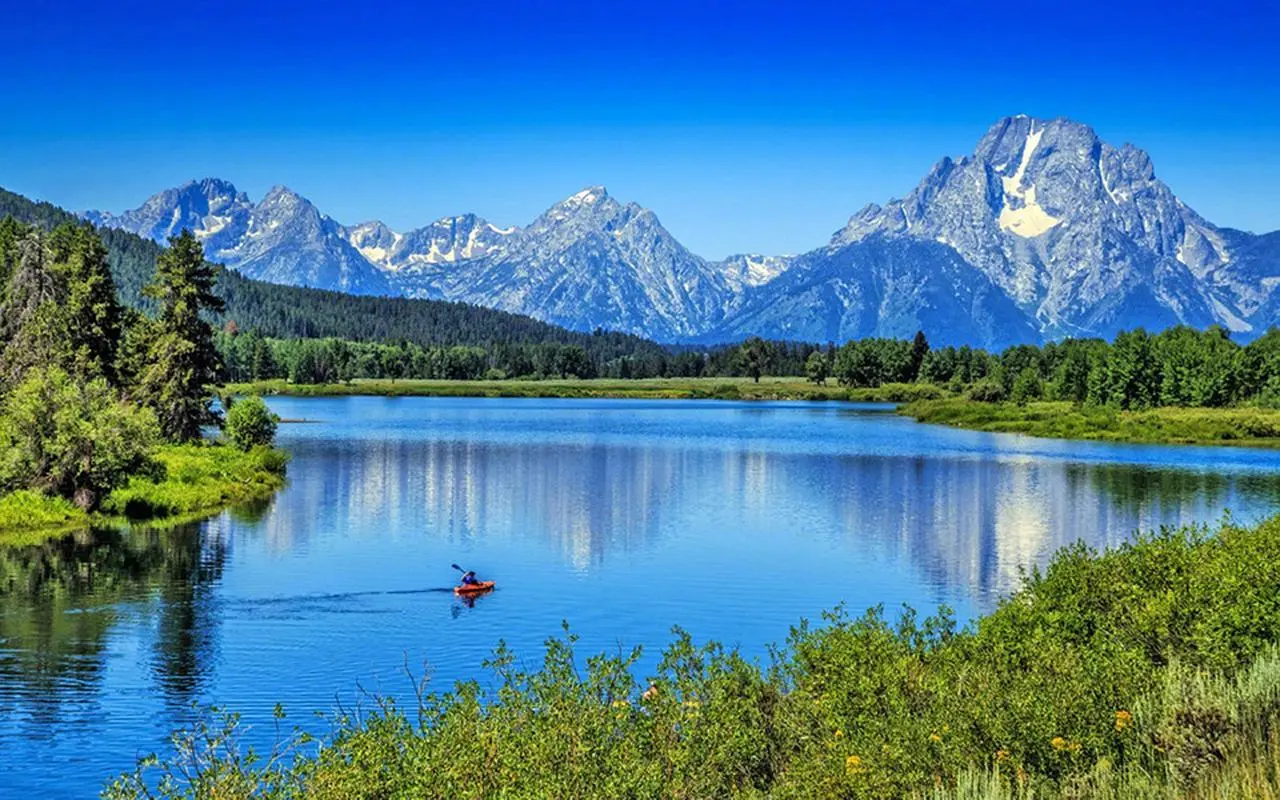 独特智能化